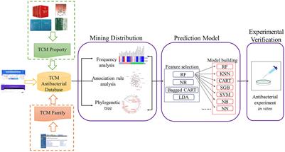 Antibacterial Activity Prediction Model of Traditional Chinese Medicine Based on Combined Data-Driven Approach and Machine Learning Algorithm: Constructed and Validated